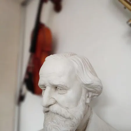 Arena Concert Concerto - Historic House Amorino At 