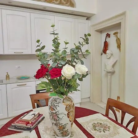 Arena Concert Concerto - Historic House Amorino At 