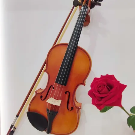 Apartment Arena Concert Concerto - Historic House Amorino At 